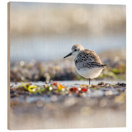 Holzbild Im Gleichgewicht