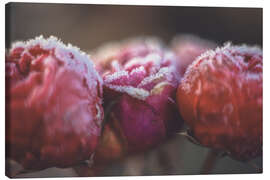 Leinwandbild Romantische Bokeh Rosen - Martina Cross