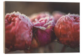 Holzbild Romantische Bokeh Rosen - Martina Cross