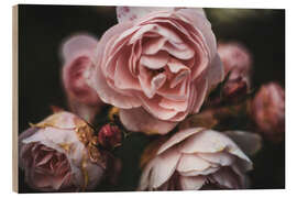 Holzbild Romantische Vintage Rosen - Martina Cross