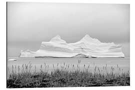 Aluminium print Iceberg in Greenland - GUGIGEI
