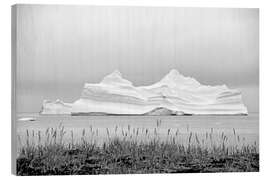 Stampa su legno Iceberg in Groenlandia - GUGIGEI