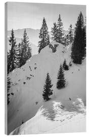 Holzbild Blick vom Laber in die Ammergauer Alpen, Oberbayern - Christian Müringer