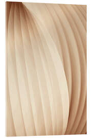 Acrylglasbild Shades of Softness - Alma