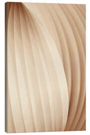 Leinwandbild Shades of Softness - Alma