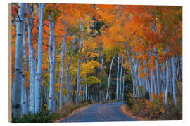 Holzbild Espenstraße während des Herbsthöhepunkts - Martin Podt
