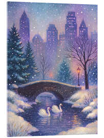 Acrylglasbild Winter im Central Park in New York City - Tori Taika