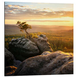 Alubild Sonnenuntergang in der Sächsischen Schweiz - Nils Steiner