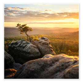 Wandbild Sonnenuntergang in der Sächsischen Schweiz - Nils Steiner