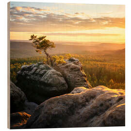 Holzbild Sonnenuntergang in der Sächsischen Schweiz - Nils Steiner