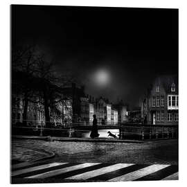 Acrylglasbild Mondscheinspaziergang