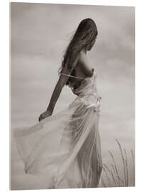 Acrylglasbild Die Aussicht