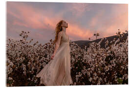 Acrylglasbild Sonnenuntergang im Baumwollfeld