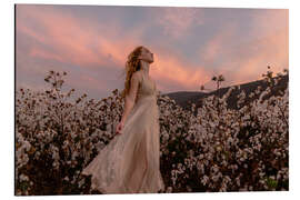 Alubild Sonnenuntergang im Baumwollfeld