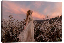 Leinwandbild Sonnenuntergang im Baumwollfeld