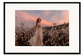 Gerahmter Kunstdruck Sonnenuntergang im Baumwollfeld