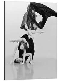 Aluminium print Duet