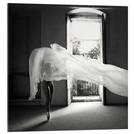 Acrylglasbild Phoenix