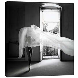 Leinwandbild Phoenix