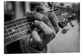 Alubild Chords of life