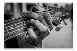 Poster Chords of life