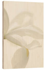 Holzbild Weiße Irisblume I