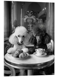 Acrylglasbild Parisian Poodle Breakfast