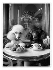 Wandbild Parisian Poodle Breakfast