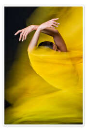 Poster Hallucination of a dance