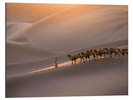 Alubild Die Seidenstraße