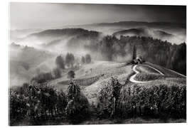 Acrylglasbild Weinberg in der Toskana