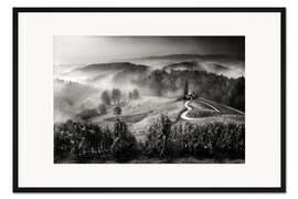 Gerahmter Kunstdruck Weinberg in der Toskana