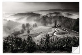 Wandsticker Weinberg in der Toskana