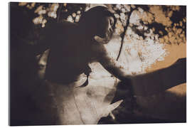 Tableau en verre acrylique Champ De Neige En Moi