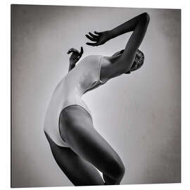 Alubild Anmutige Konturen