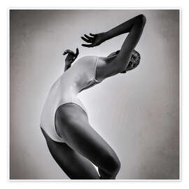 Poster Anmutige Konturen