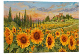 Acrylglasbild Sonnenblumen in der Toskana