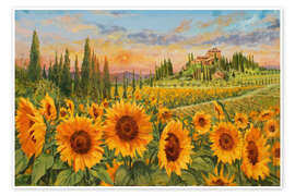 Poster Sonnenblumen in der Toskana