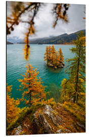 Alubild Lärchen-Insel im Engadin im Herbst - Marcel Gross