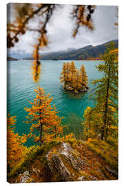 Leinwandbild Lärchen-Insel im Engadin im Herbst - Marcel Gross