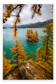 Wandbild Lärchen-Insel im Engadin im Herbst - Marcel Gross