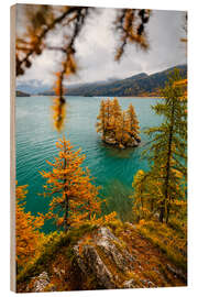 Holzbild Lärchen-Insel im Engadin im Herbst - Marcel Gross