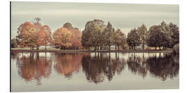 Aluminium print Trees By Lake - Assaf Frank