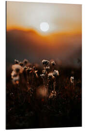 Tableau en aluminium Mountain plant - Thomas Beauquesne