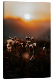 Leinwandbild Bergpflanze - Thomas Beauquesne