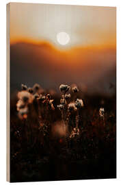 Holzbild Bergpflanze - Thomas Beauquesne