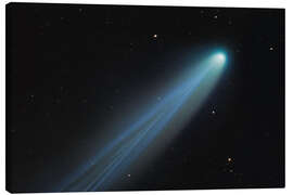 Leinwandbild Komet Lemmon - Benjamin Butschell