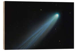 Holzbild Komet Lemmon - Benjamin Butschell