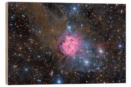 Holzbild Kokon-Nebel - Benjamin Butschell