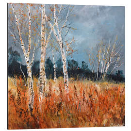 Alubild Espen im Herbst - Pol Ledent